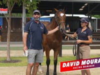 117 Brutal x Ciao Colt David Mourad