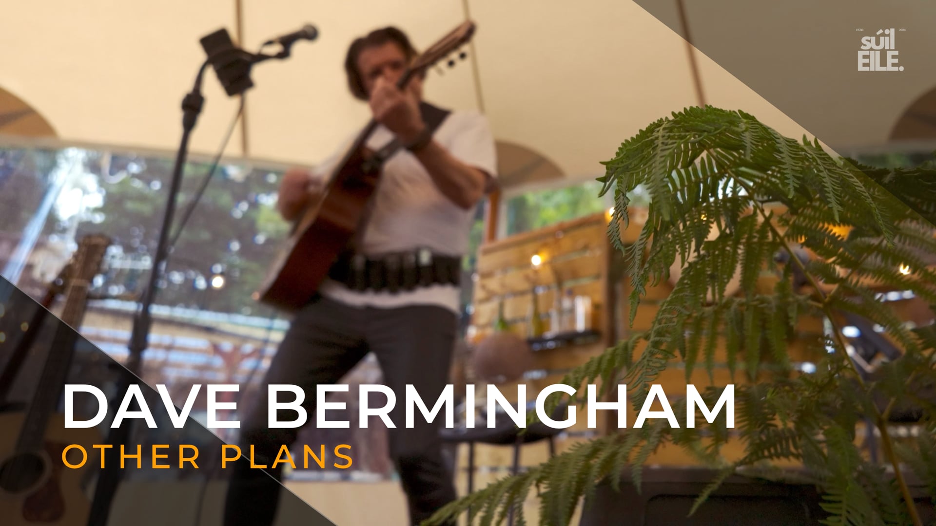 Dave Bermingham - Other Plans