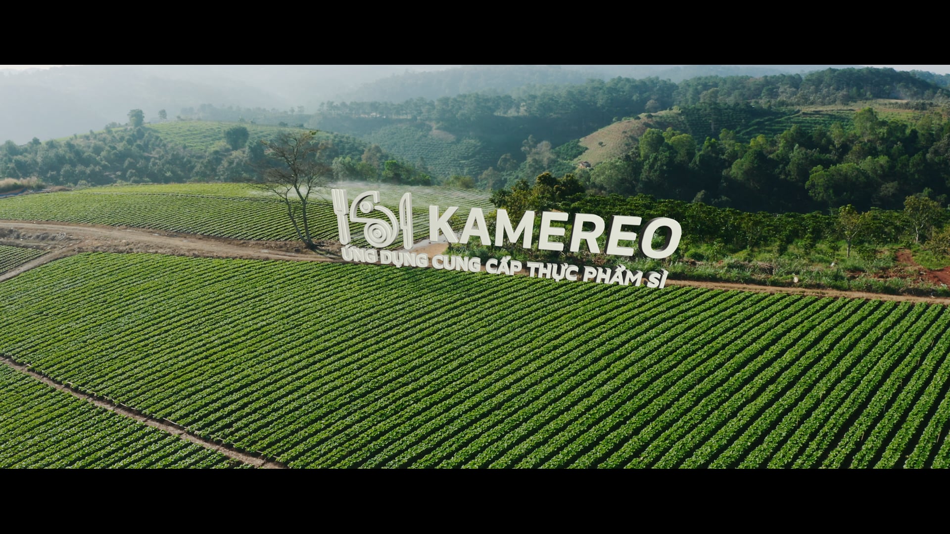 KAMEREO | KAMEREO GREEN FARMS COMMERCIAL VIDEO