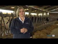 Experiencia con JOBSYNCH en Ganadería Rodasinde, la más productora de Galicia