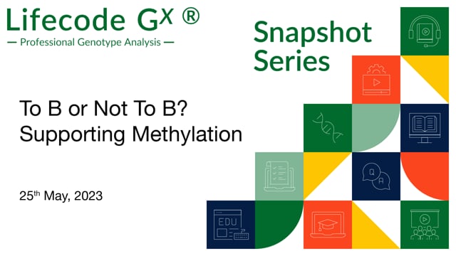 To B or not to B – Supporting Methylation