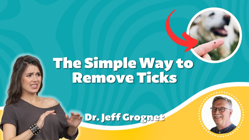 The Simple Way to Remove Ticks