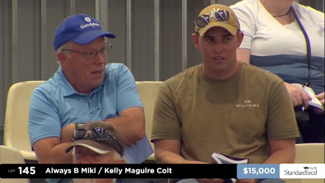 2025 National Standardbred Yearling Sale, Lots 145 - 155