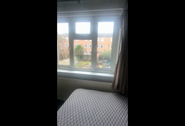 Beautiful large dbl room in garden flat Homerton Main Photo