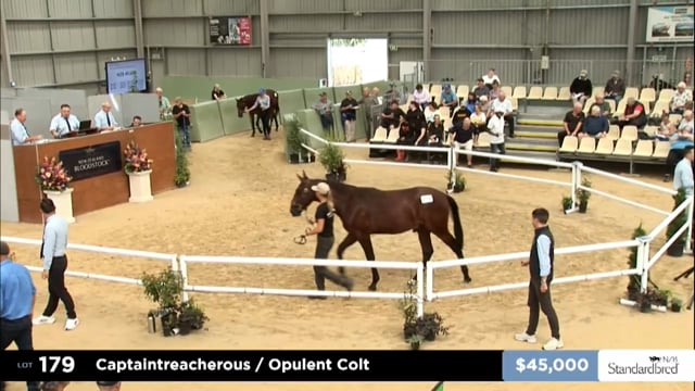 2025 National Standardbred Yearling Sale, Lots 179 - 189