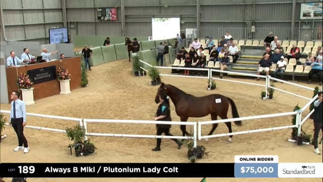 2025 National Standardbred Yearling Sale, Lots 189 - 199