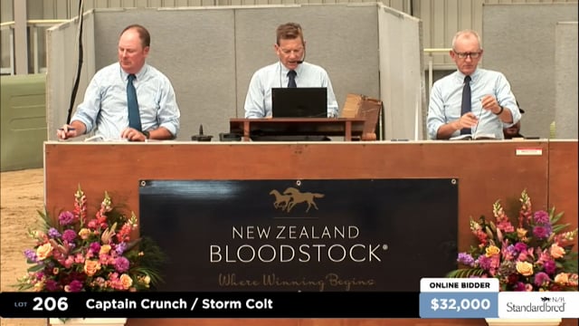 2025 National Standardbred Yearling Sale, Lots 206 - 218