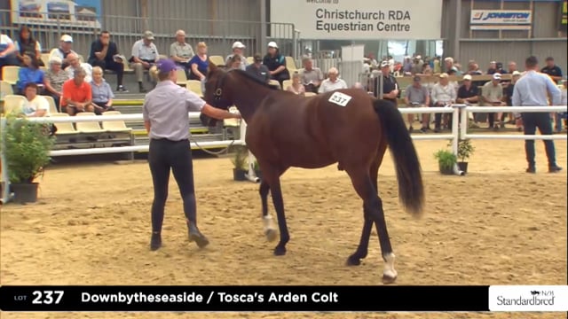 2025 National Standardbred Yearling Sale, Lots 237 - 241