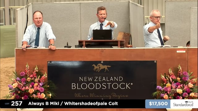 2025 National Standardbred Yearling Sale, Lots 257 - 263