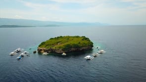 Underwater Film - Dive Moalboal HD