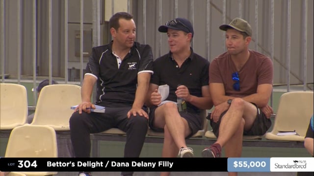 2025 National Standardbred Yearling Sale, Lots 304 - 312