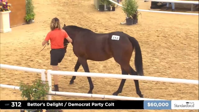 2025 National Standardbred Yearling Sale, Lots 312 - 320