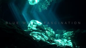 Underwater Film - Discover Yucatan, Mexico 4K