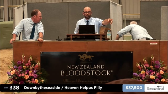 2025 National Standardbred Yearling Sale, Lot 338 - Day 2 - Review Show Part 1