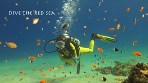 Underwater Film - Dive the Red Sea HD