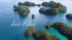 Underwater Film - Dive Palau HD