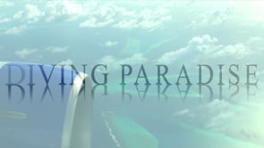 Underwater Film - Diving Paradise Maldives HD