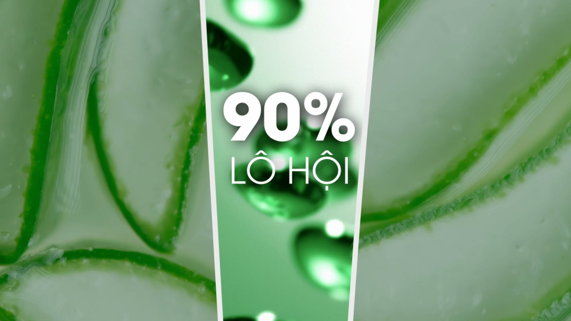 [J Studio] - Aloe Vera Foam Cleanser - Pasle - Tiktok