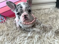 Watch me play!