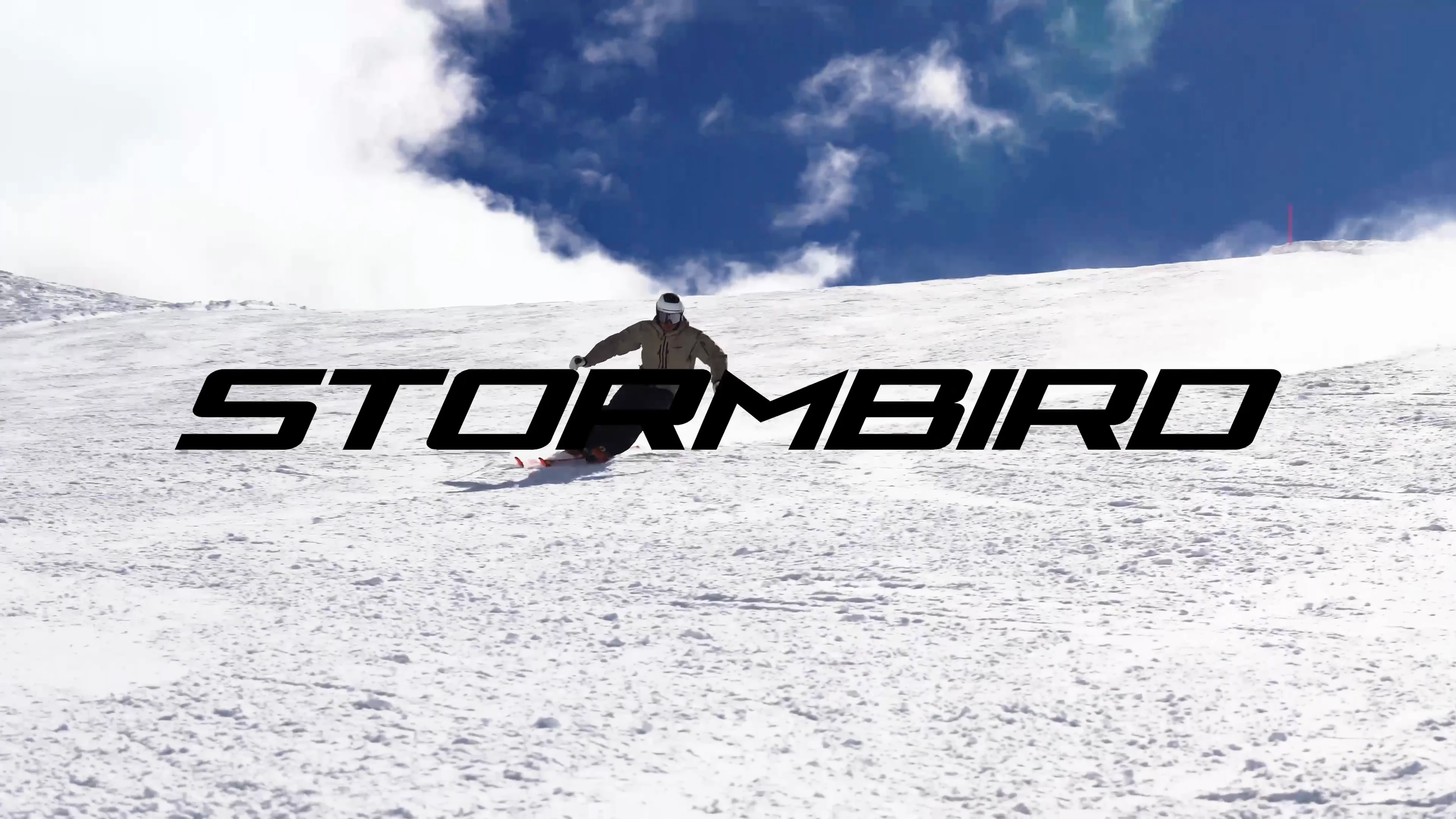 【専用】BLiZZARD GS 185cm 専用】BLiZZARD GS 185cm 専用】BLiZZARD GS 185cm BLIZZARD