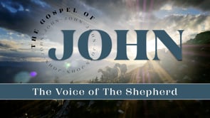 The Voice of the Shepherd | Greg Fraser