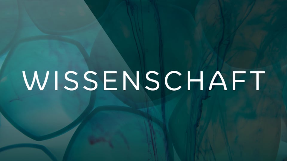 Vorschaubild: Produkt-Einblicke mit Helena