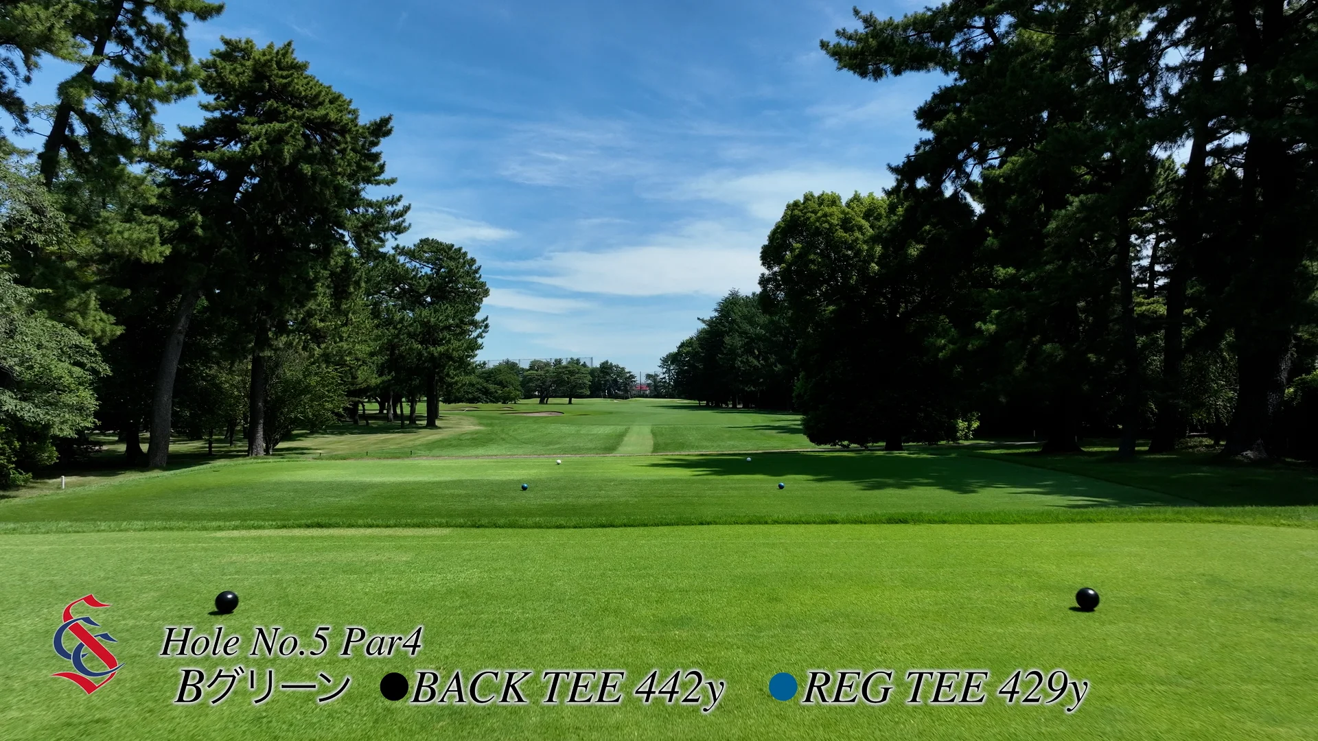 ゴルフポーチ　相模カンツリー倶楽部 article_golfcourse-