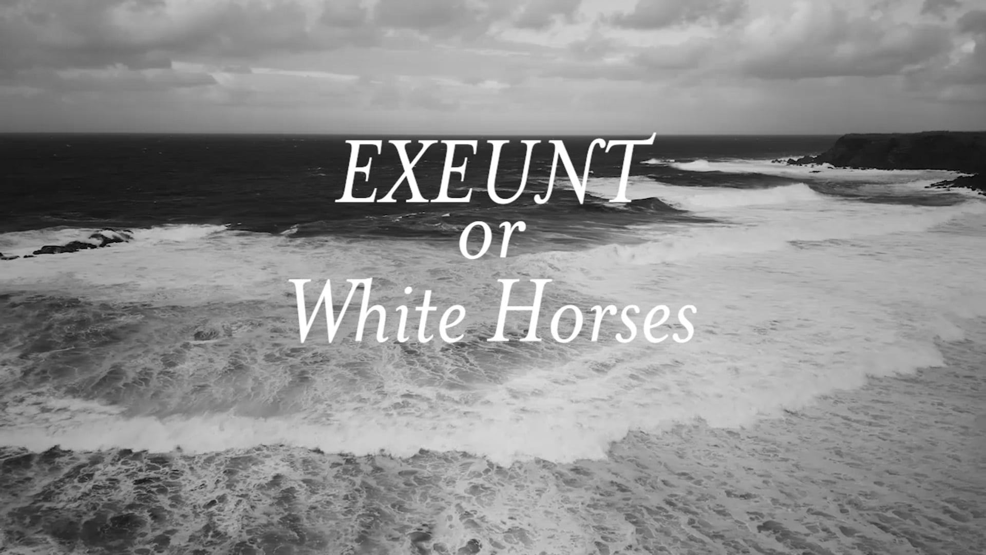 Black Sheep - White Horse Moodfilm