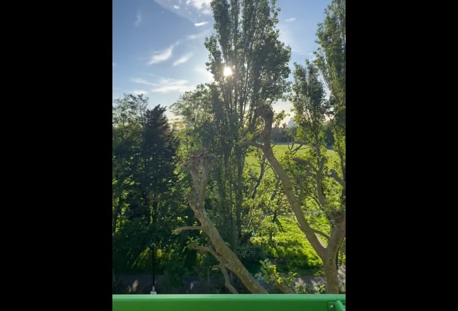 Large Ensuite Double Room-Bills Incl. w/Park View Main Photo