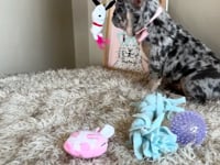 Watch me play!