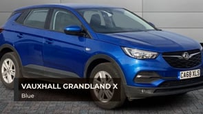 VAUXHALL GRANDLAND X 2019 (68)