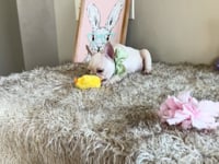 Watch me play!