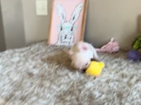 Watch me play!