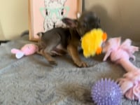 Watch me play!