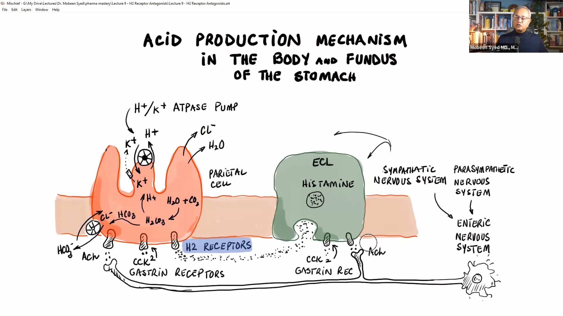 H2 Receptor Antagonists (Pharma Mastery Lecture 9)