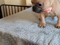 Watch me play!