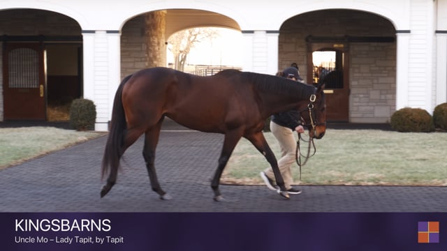 Kingsbarns | Walking Video