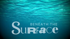 FUMC - NewSong | 02-16-25 | Beneath The Surface | Thea Curry-Fuson