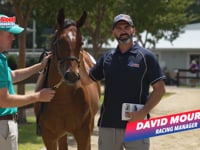 Lot 2 Home Affairs x Aaralyn F David Mourad