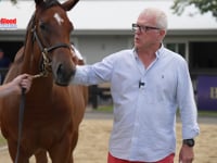 Lot 2 Home Affairs x Aaralyn F Mick Price