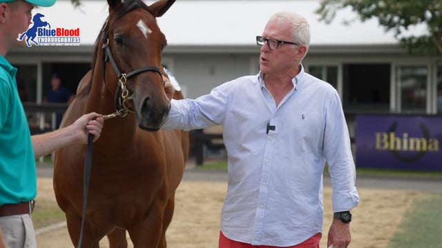 Lot 2 Home Affairs x Aaralyn F Mick Price