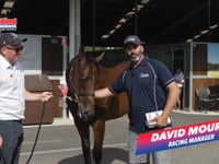 Lot 196 Zousain x Erin's Element C David