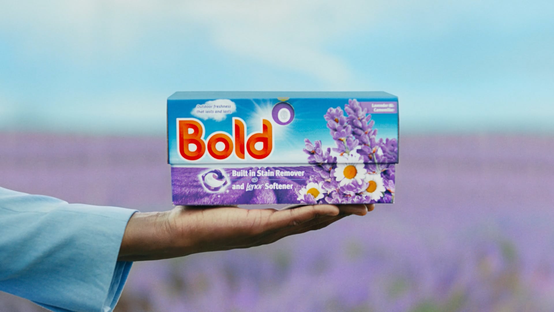 Bold - Lavender