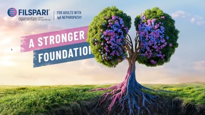 A stronger foundation for kidney preservation