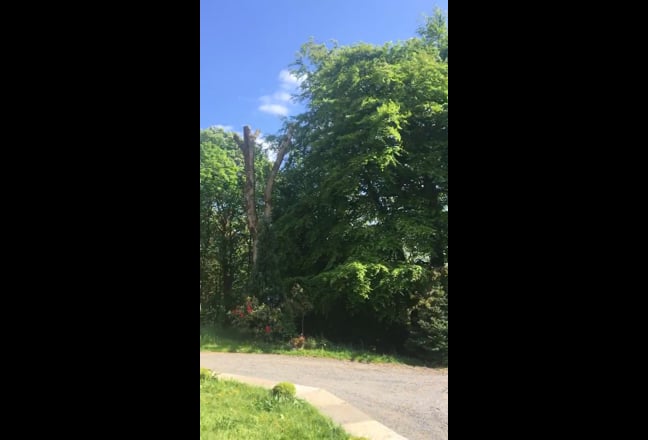 Video 1: View from lounge bay window