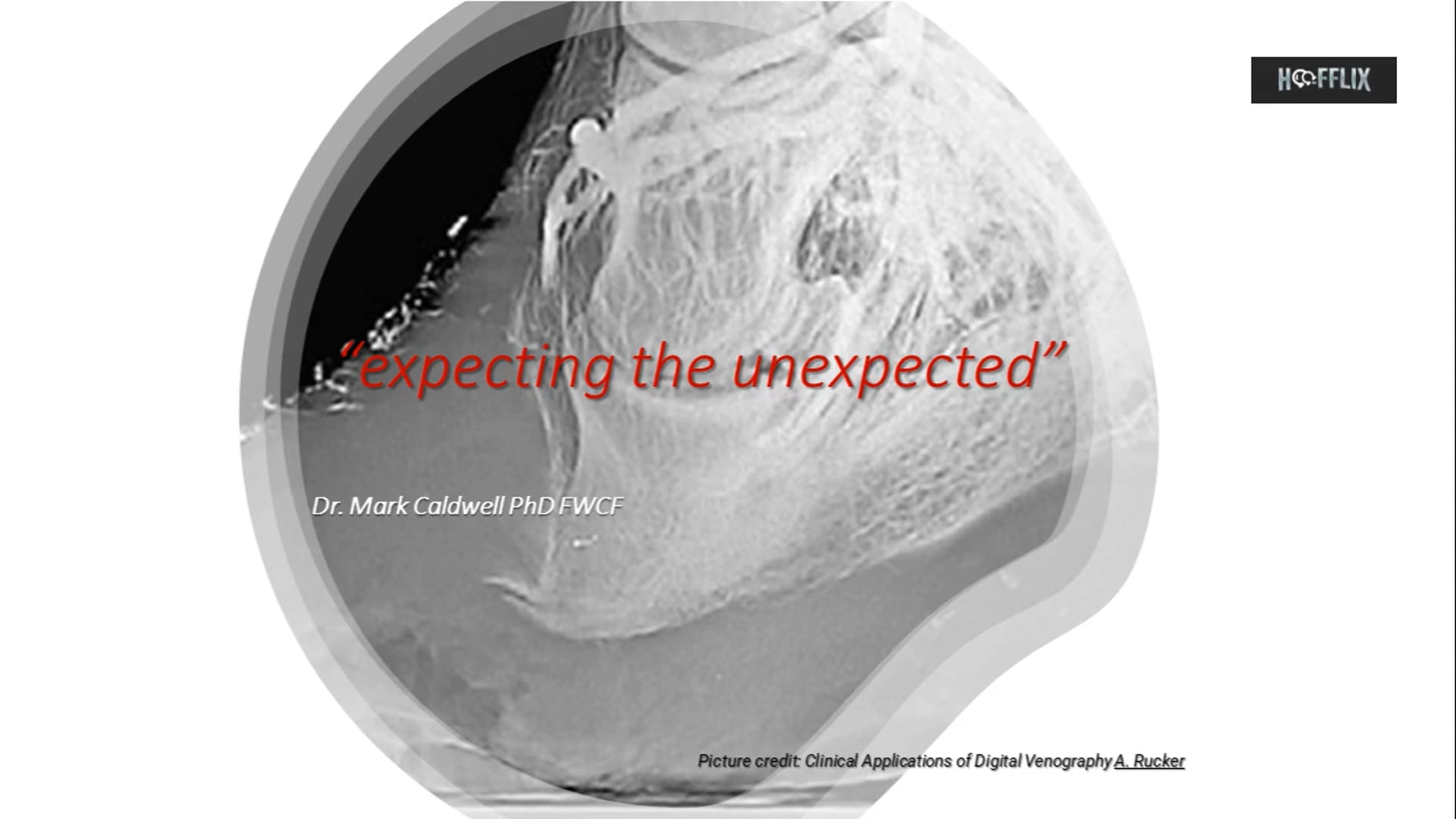 Pathophysiology of Laminitis