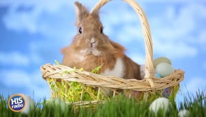Harilyn HATES This Iconic Easter Decoration