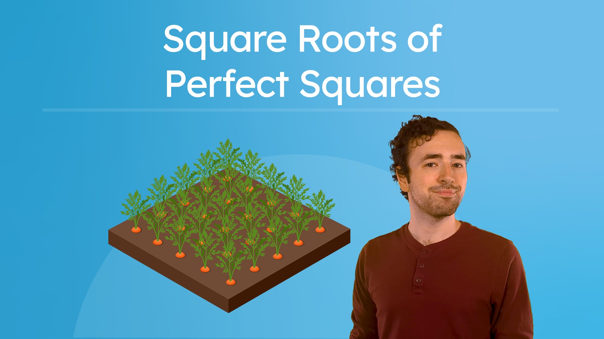 Square Roots of Perfect Squares | Videos & Movies on Vimeo