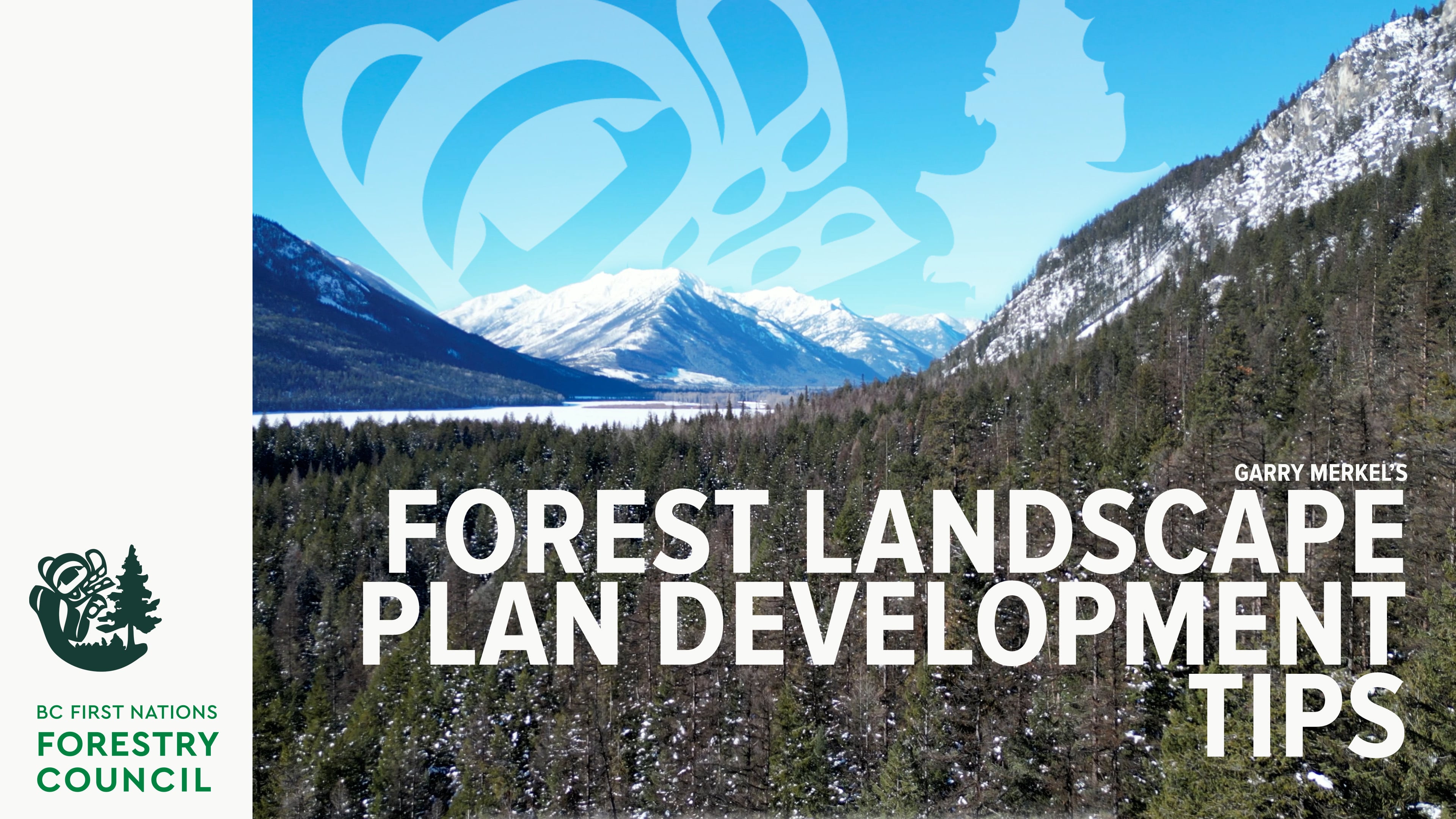 Garry Merkel's FLP Development Tips