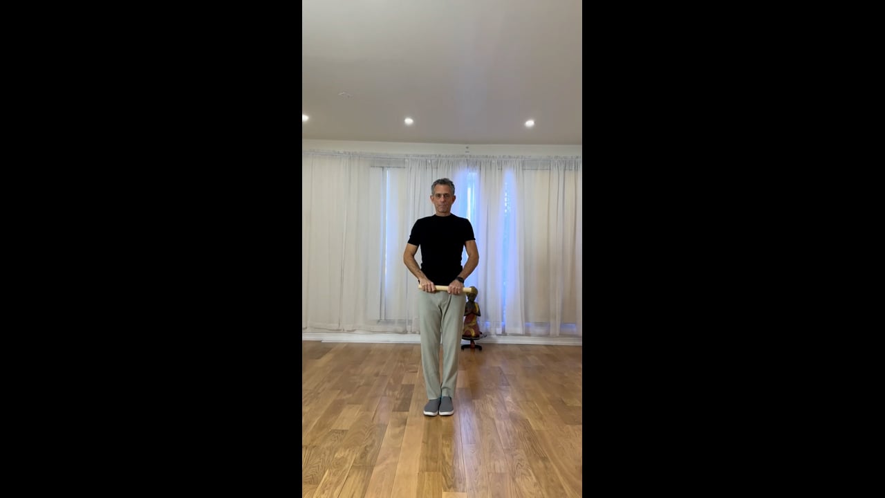 Energy Pass Demo I
